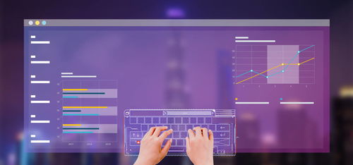 2021年字庫軟件與技術(shù)服務(wù)項目投資分析報告